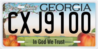GA license plate CXJ9100
