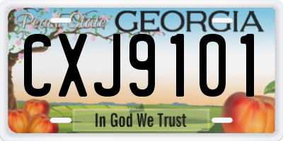 GA license plate CXJ9101