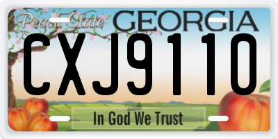 GA license plate CXJ9110