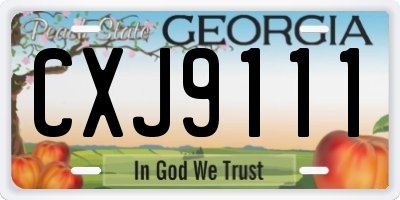 GA license plate CXJ9111