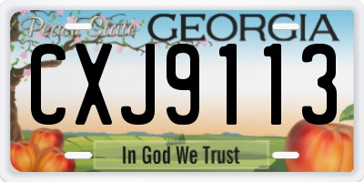GA license plate CXJ9113