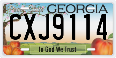 GA license plate CXJ9114