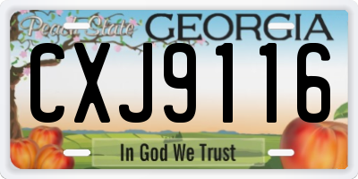 GA license plate CXJ9116