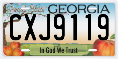 GA license plate CXJ9119