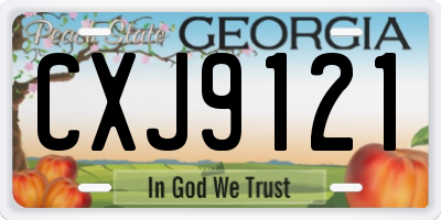 GA license plate CXJ9121