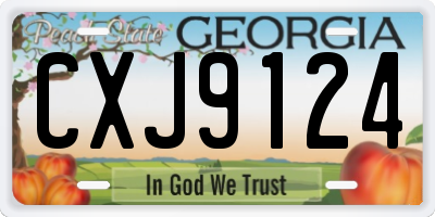 GA license plate CXJ9124