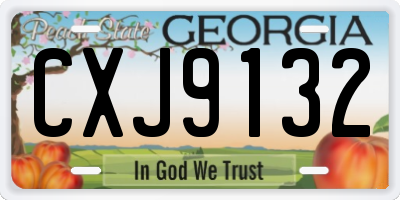 GA license plate CXJ9132