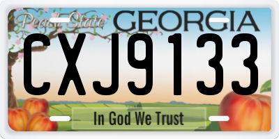 GA license plate CXJ9133