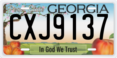 GA license plate CXJ9137