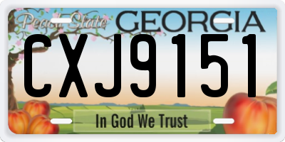 GA license plate CXJ9151
