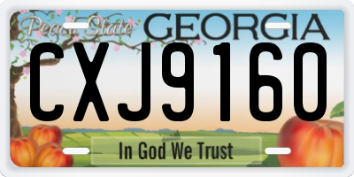GA license plate CXJ9160