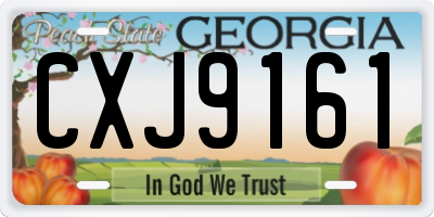 GA license plate CXJ9161