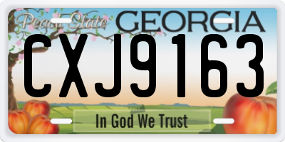 GA license plate CXJ9163