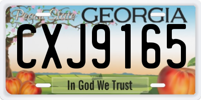GA license plate CXJ9165