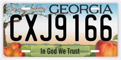 GA license plate CXJ9166
