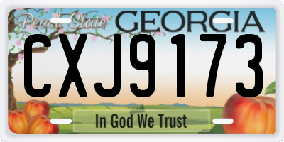 GA license plate CXJ9173