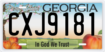 GA license plate CXJ9181