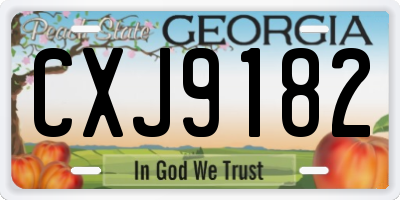 GA license plate CXJ9182