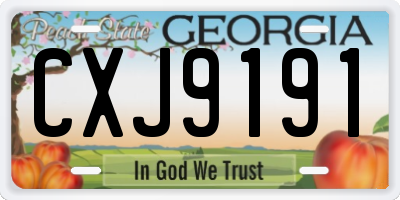 GA license plate CXJ9191