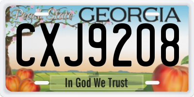 GA license plate CXJ9208