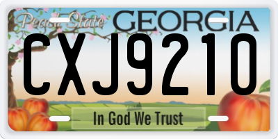 GA license plate CXJ9210