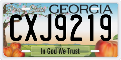 GA license plate CXJ9219