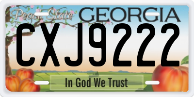 GA license plate CXJ9222