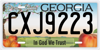 GA license plate CXJ9223