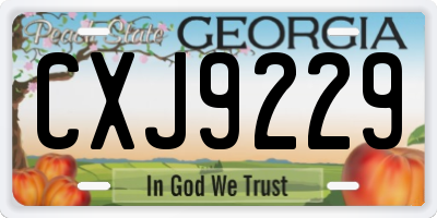 GA license plate CXJ9229