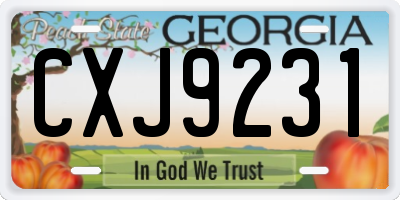 GA license plate CXJ9231