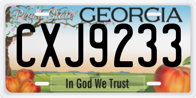 GA license plate CXJ9233