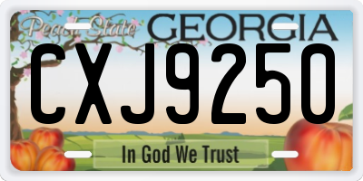 GA license plate CXJ9250
