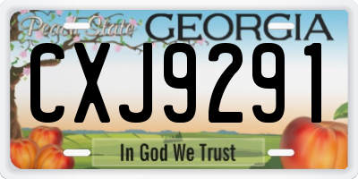 GA license plate CXJ9291