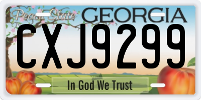 GA license plate CXJ9299