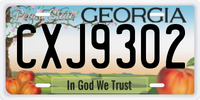GA license plate CXJ9302