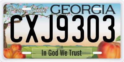GA license plate CXJ9303