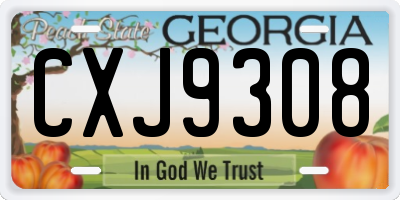 GA license plate CXJ9308
