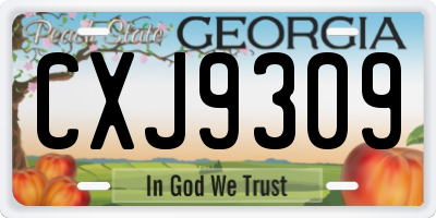 GA license plate CXJ9309