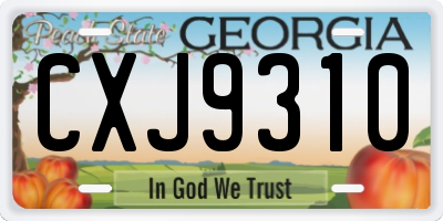 GA license plate CXJ9310