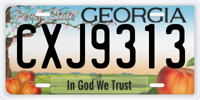 GA license plate CXJ9313