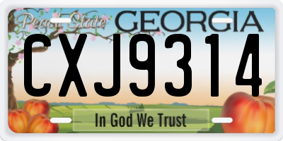 GA license plate CXJ9314
