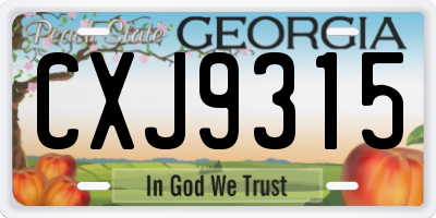GA license plate CXJ9315