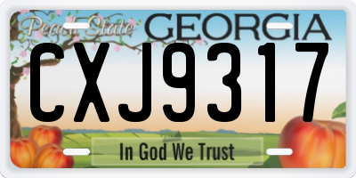 GA license plate CXJ9317