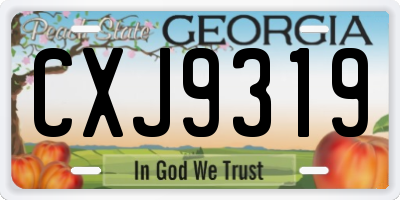 GA license plate CXJ9319