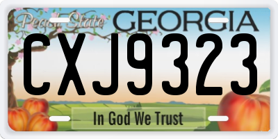 GA license plate CXJ9323