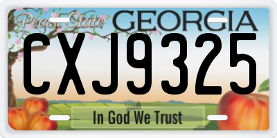 GA license plate CXJ9325