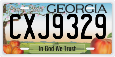 GA license plate CXJ9329