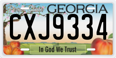 GA license plate CXJ9334