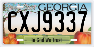 GA license plate CXJ9337