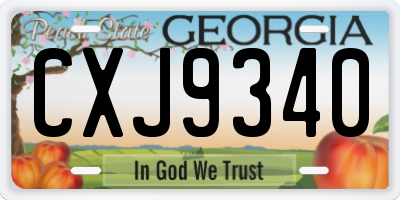 GA license plate CXJ9340